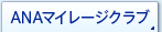 ANAޥ졼